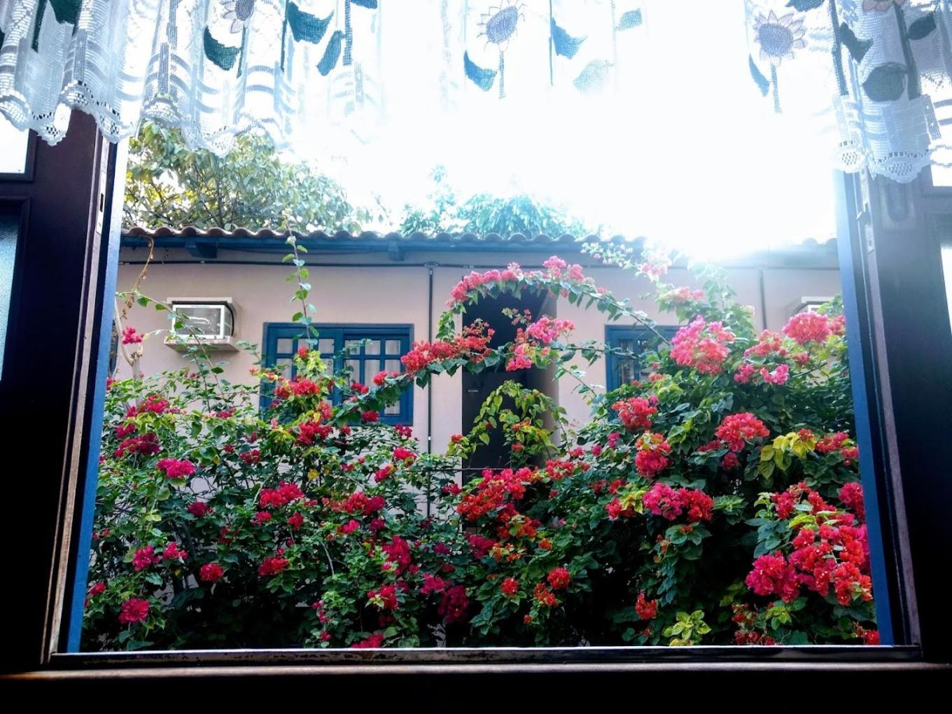 Cr Hotel Bueno - Antigo Hotel Serras De Goyaz 戈亚尼亚 外观 照片 Bougainvillea in the garden of the house